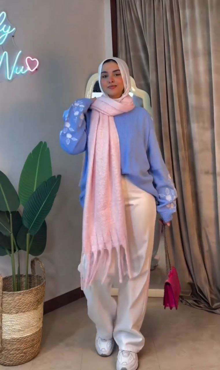 Embroidered Sleeve Pullover in Baby blue
