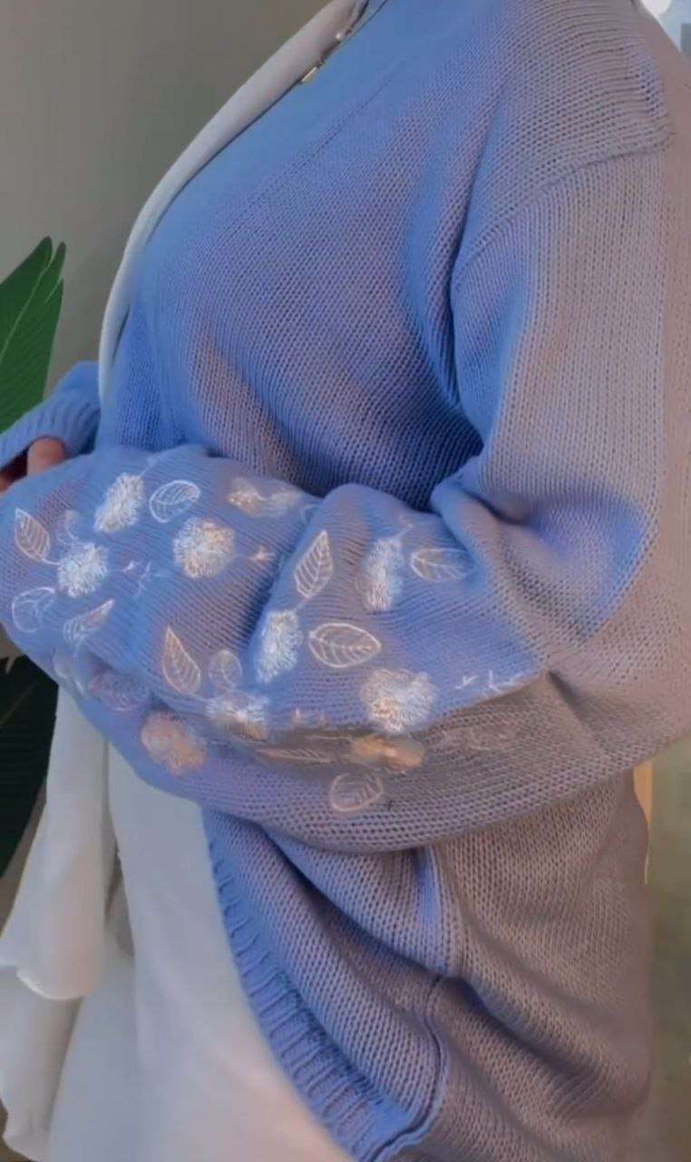 Embroidered Sleeve Pullover in Baby blue